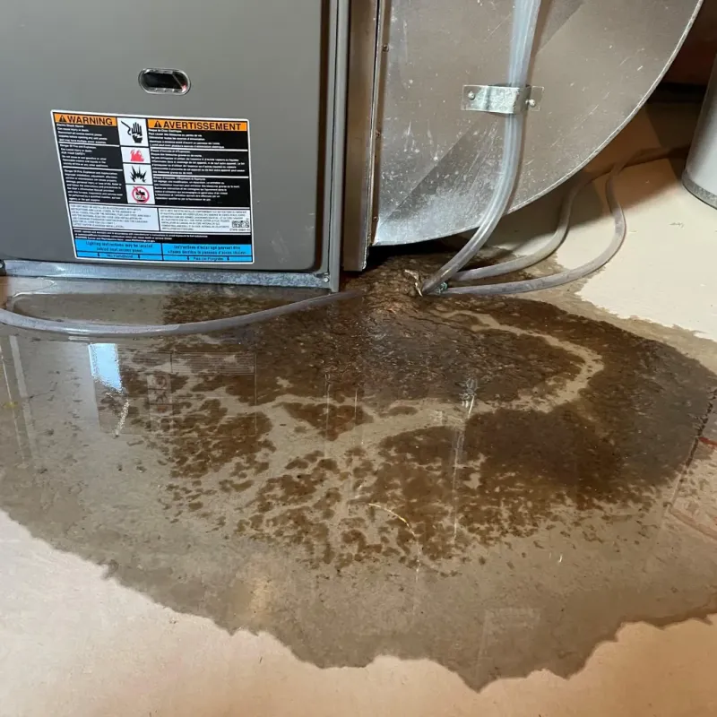 Appliance Leak Cleanup in Ely, MN